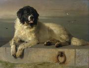 Sir edwin henry landseer,R.A. A Distinguished Member of the Humane Society oil painting